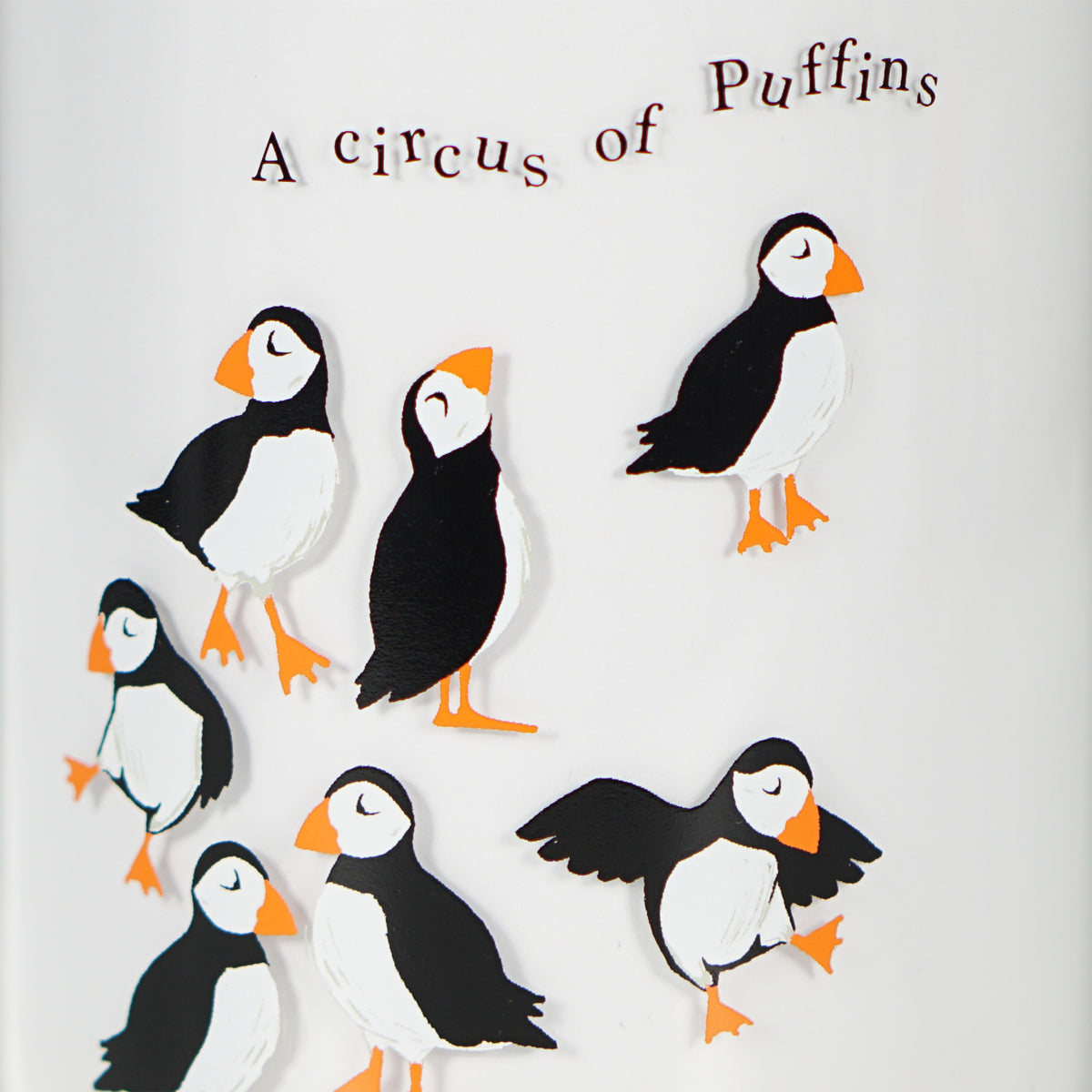 RSPB Circus of Puffins Glass Storage Jar - 750ml