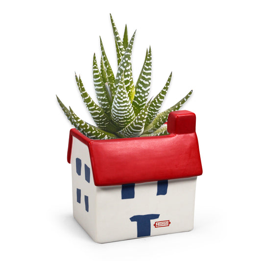 Planter - Coastal (House)