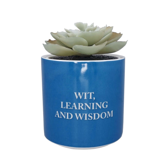 Plant Pot Faux Boxed (6.5cm) - Harry Potter (Ravenclaw)