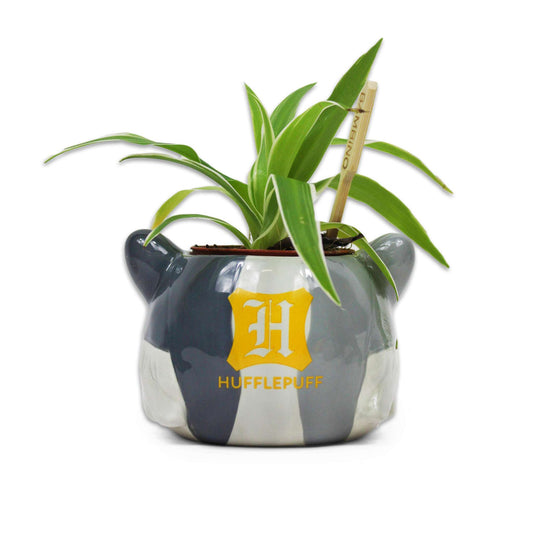 Hufflepuff Plant Pot - Harry Potter