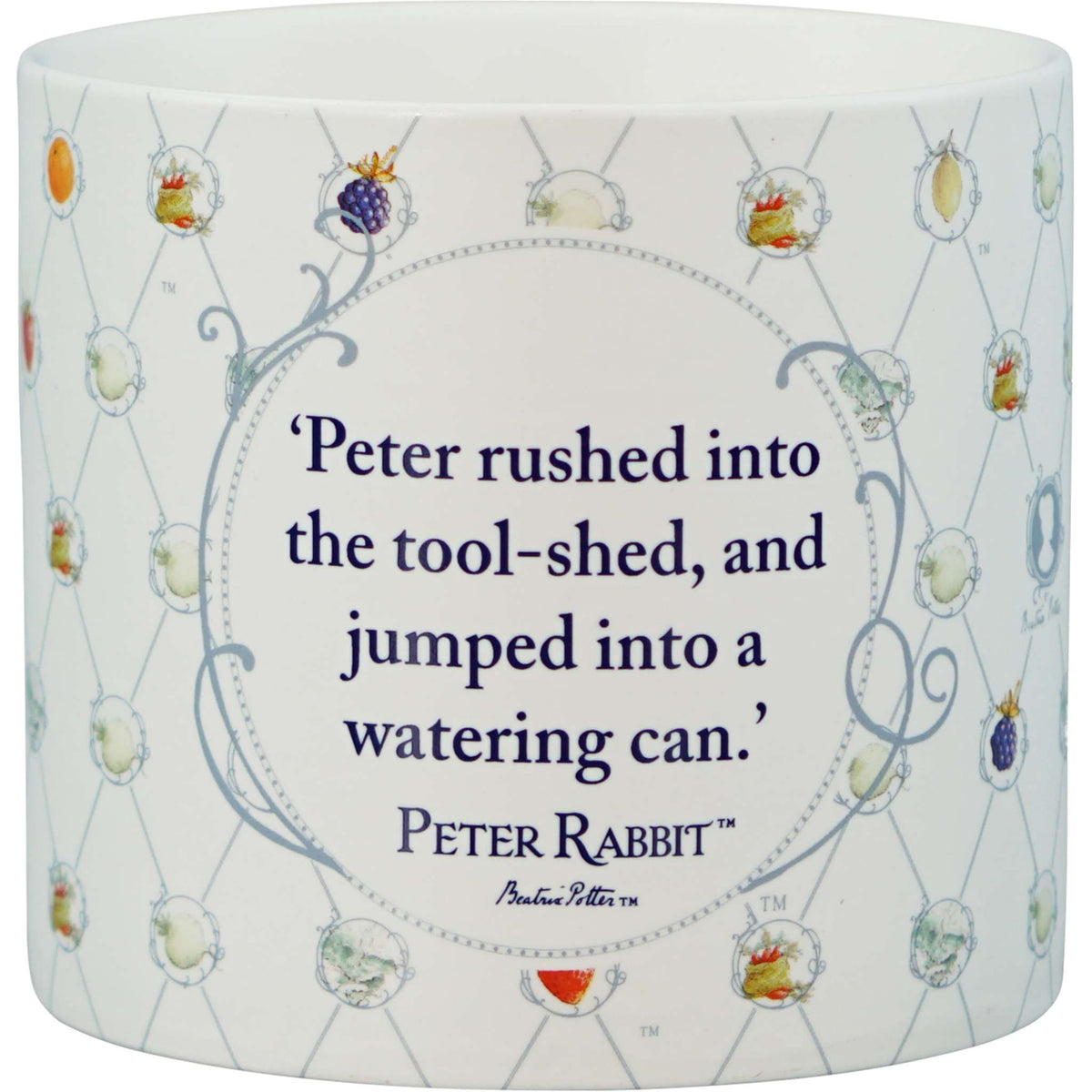 Peter Rabbit Watering Can 10cm Ceramic Plant Pot