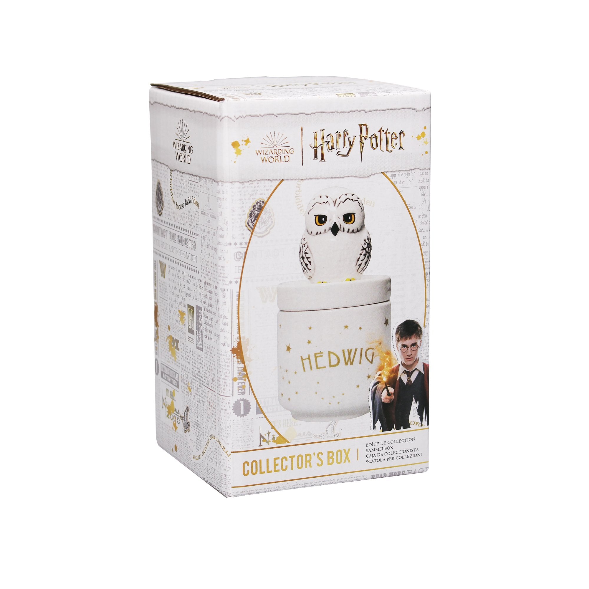 Collector's Box Boxed  (14cm) - Harry Potter (Hedwig)