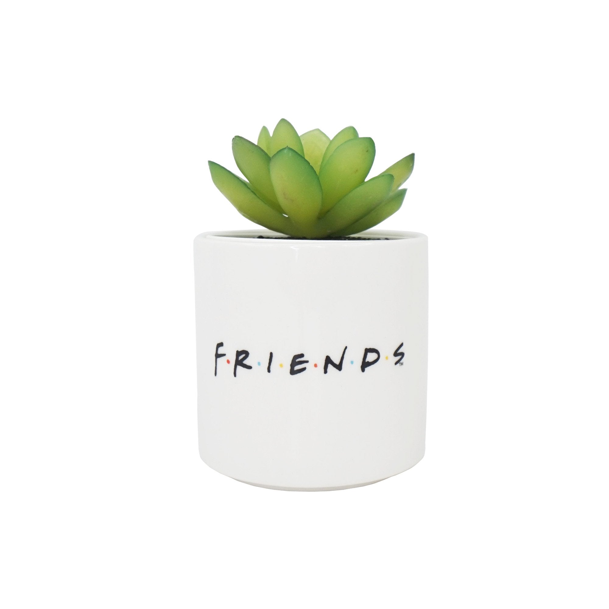 Plant Pot Faux Boxed (6.5cm) - Friends (Central Perk)