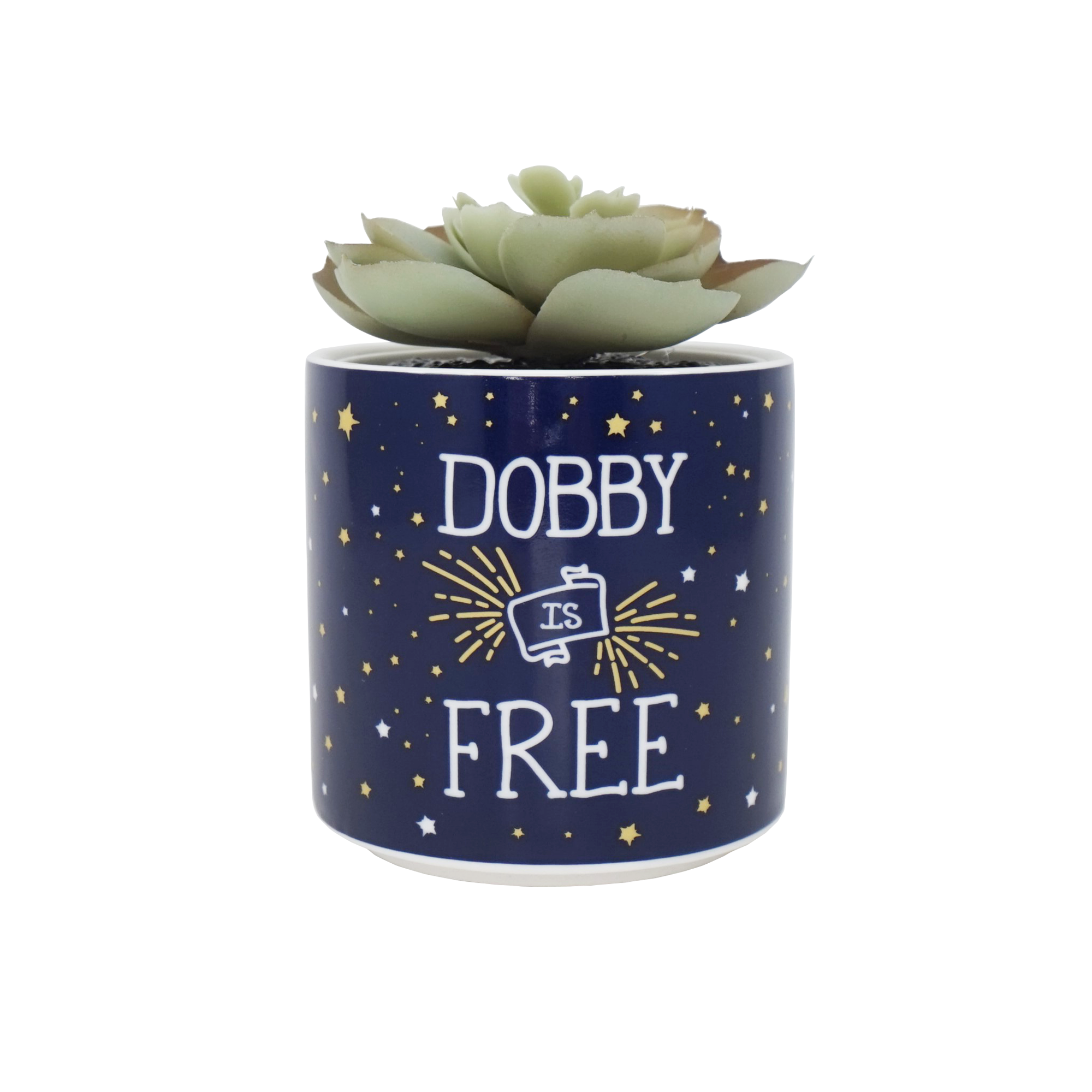 Plant Pot Faux Boxed (6.5cm) - Harry Potter (Dobby)