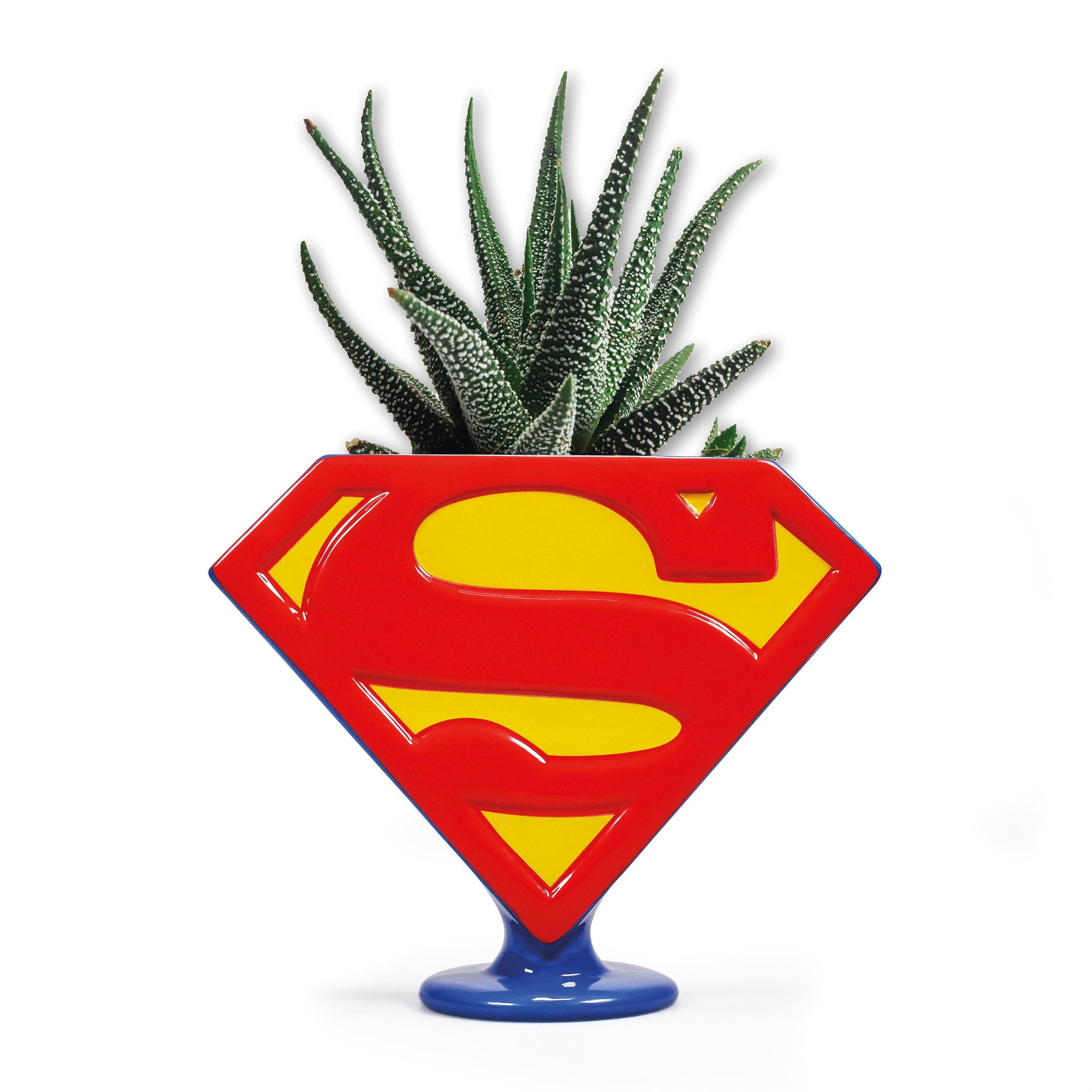 Superman Logo Planter 850ml