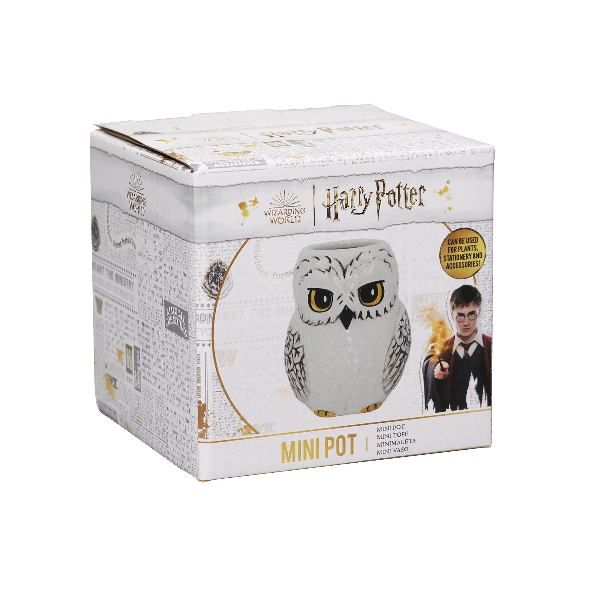 Pot Shaped Small Boxed - Harry Potter (Hedwig)