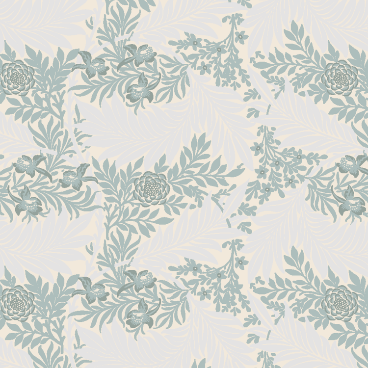 Larkspur