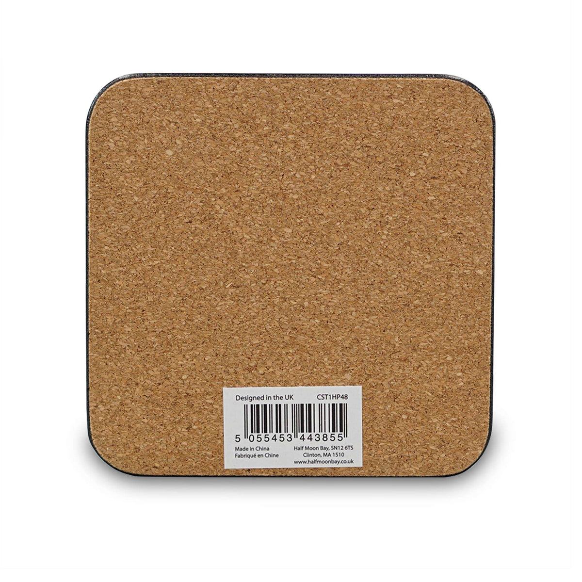 Harry Potter Exceptionally Ordinary Coaster