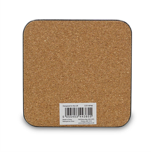 Harry Potter Exceptionally Ordinary Coaster