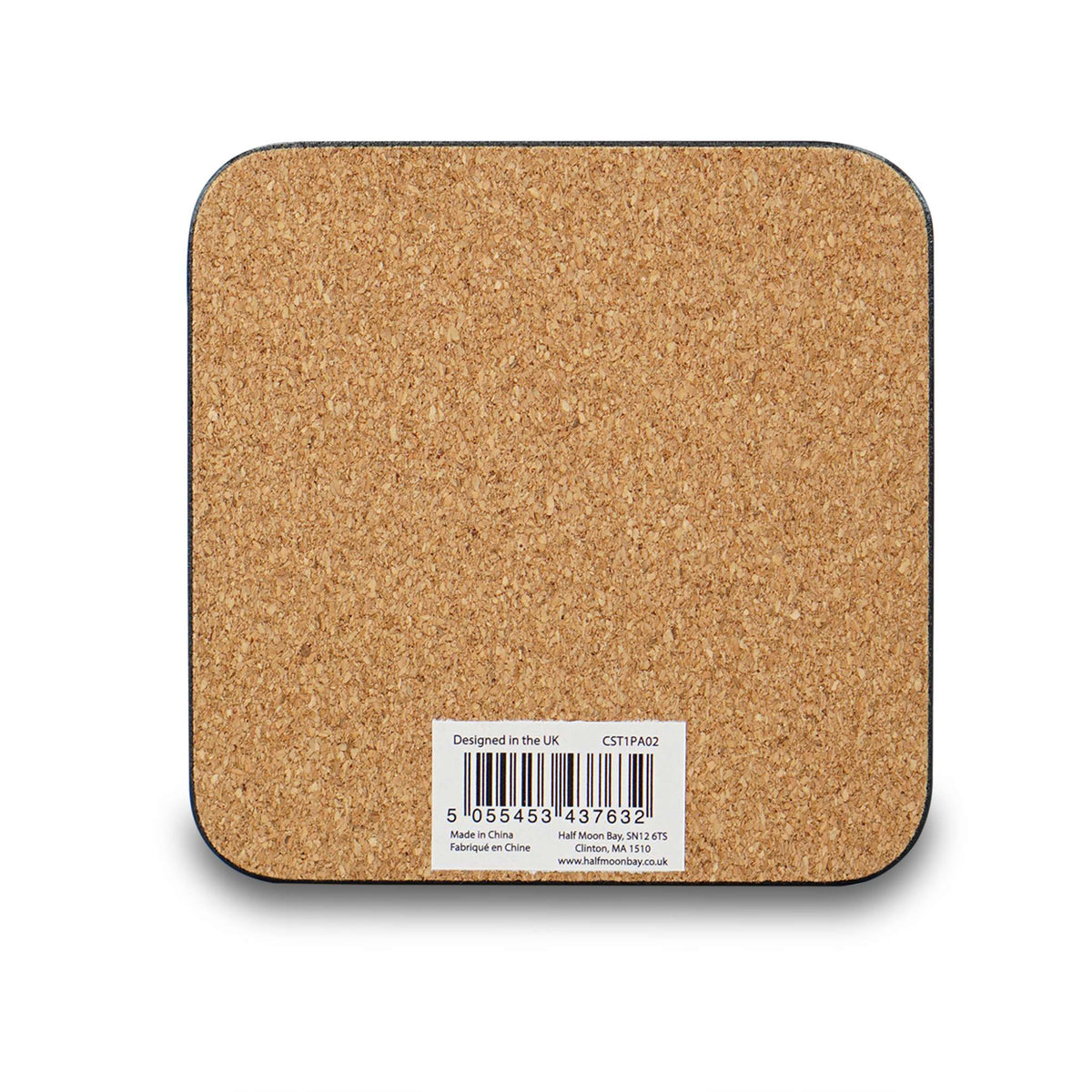 Paddington Bear Head Stuck Single Coaster