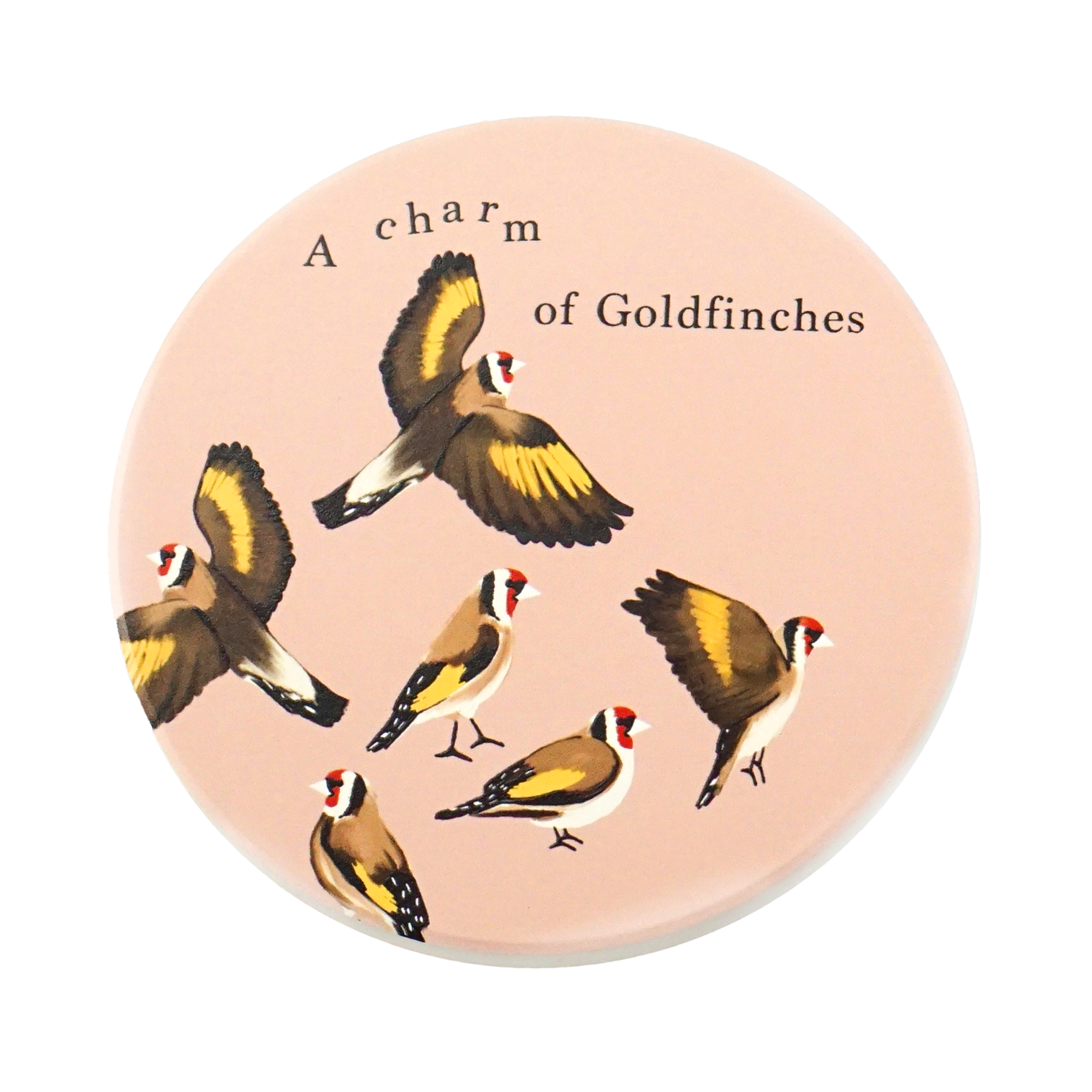 Coasters Set of 4 Ceramic - RSPB (Flock)