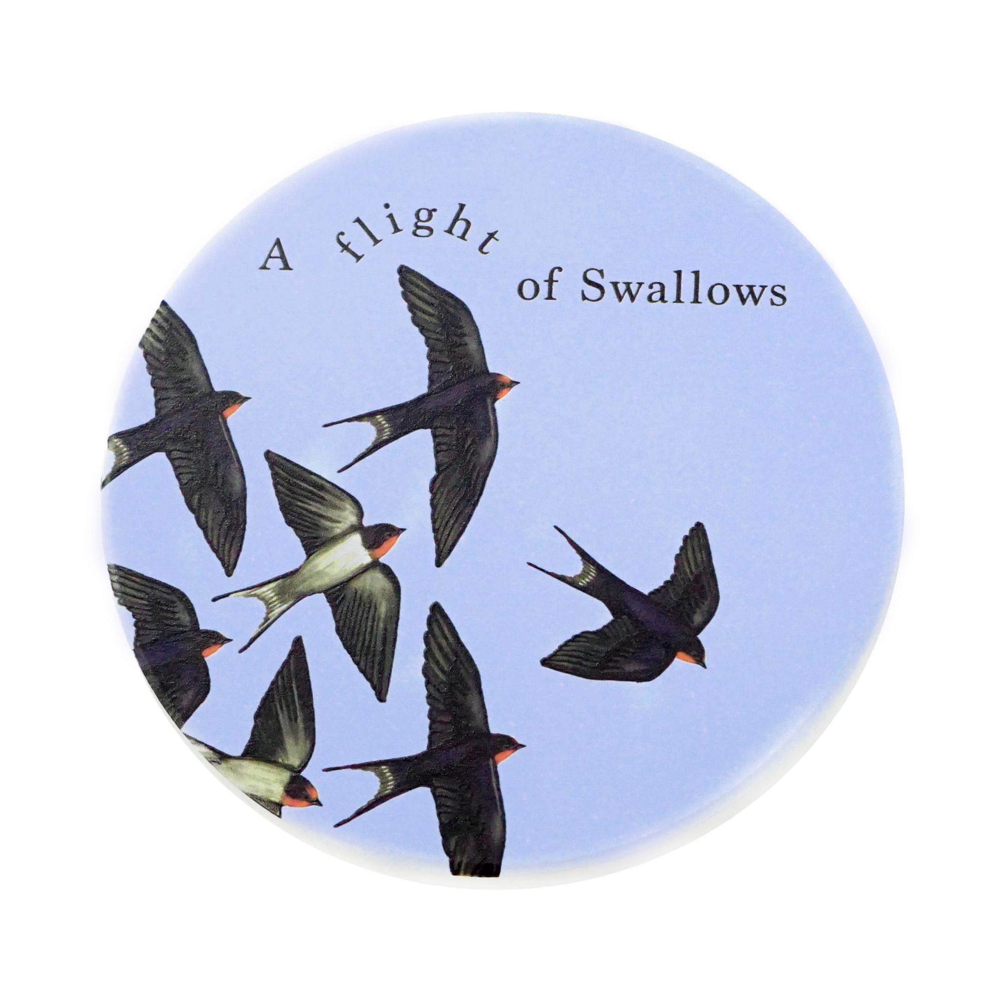 Coasters Set of 4 Ceramic - RSPB (Flock)