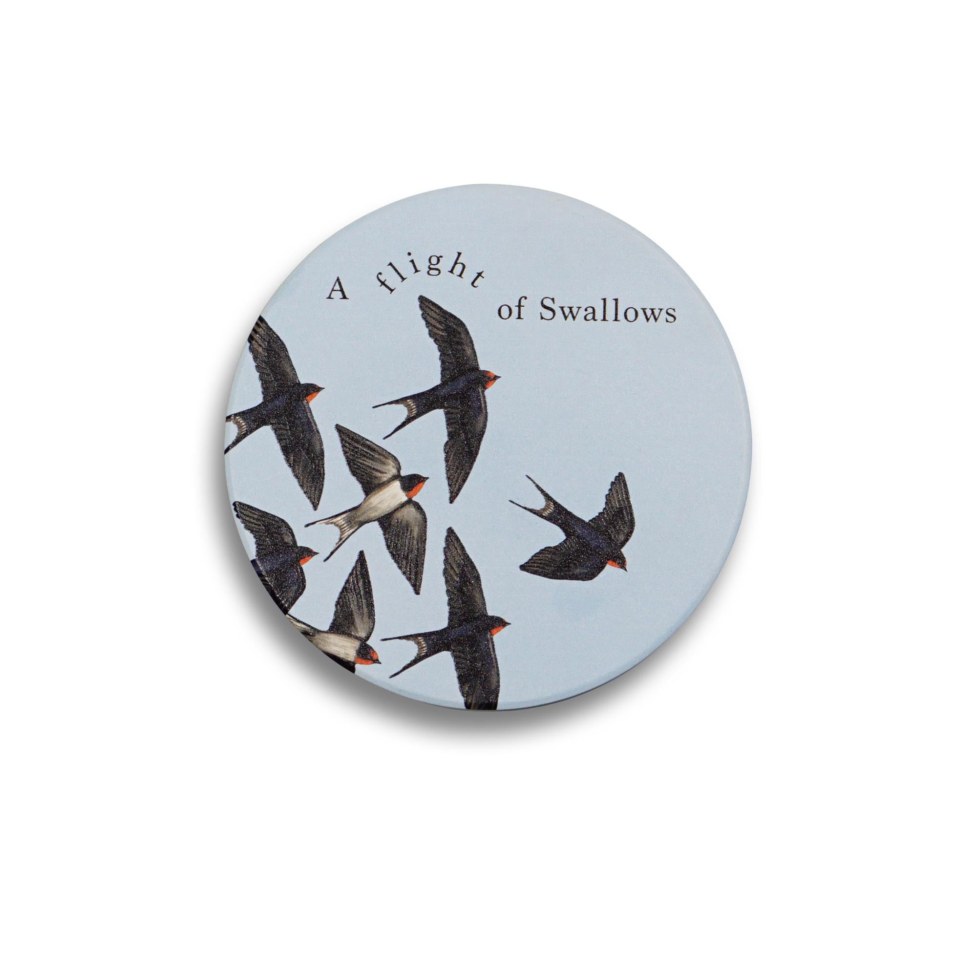 Coasters Set of 4 Ceramic - RSPB (Flock)