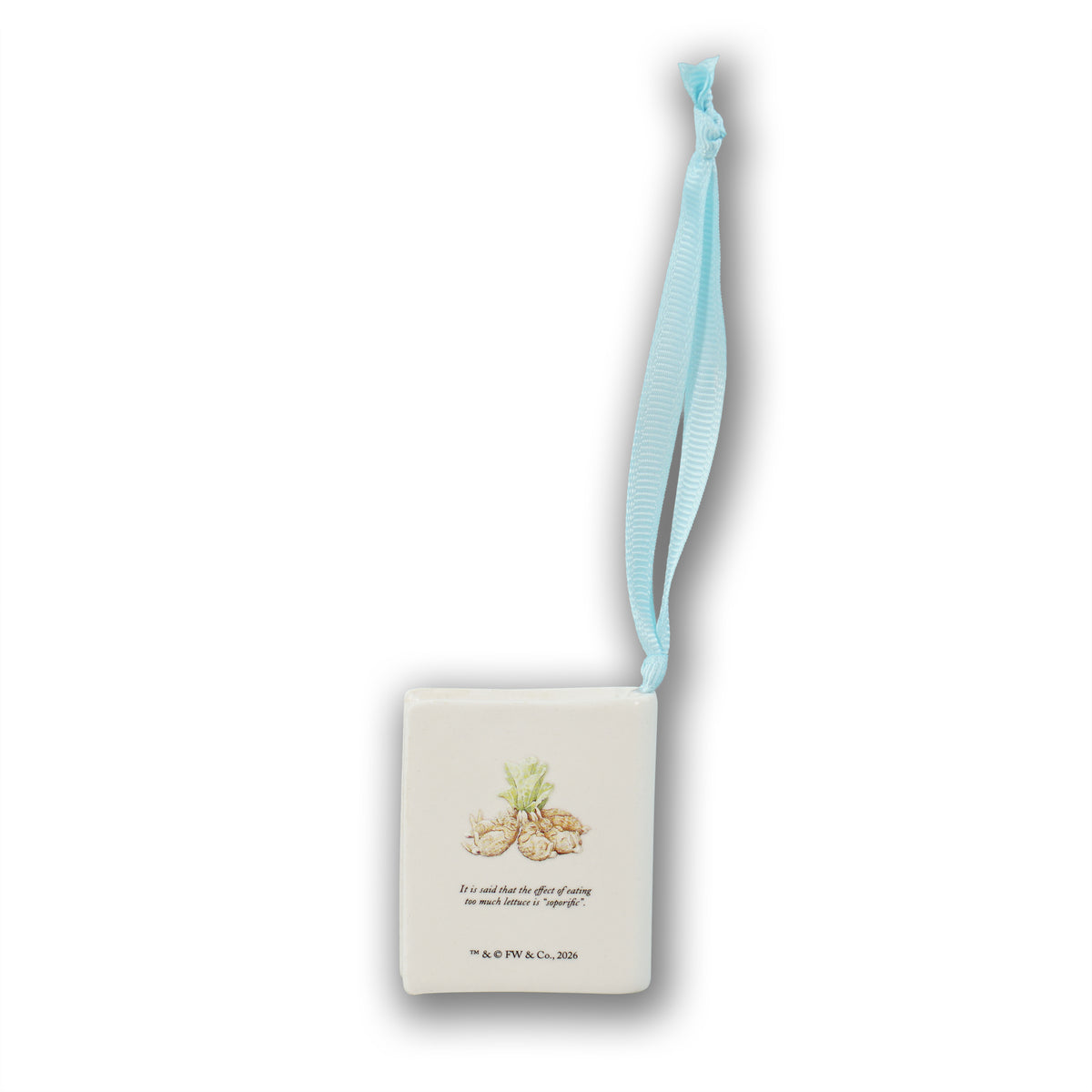 Peter Rabbit Flopsy Bunnies Ceramic Book Decoration