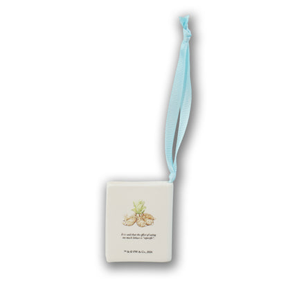 Peter Rabbit Flopsy Bunnies Ceramic Book Decoration