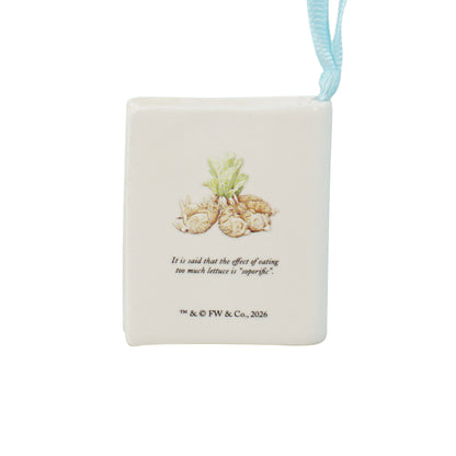 Peter Rabbit Flopsy Bunnies Ceramic Book Decoration