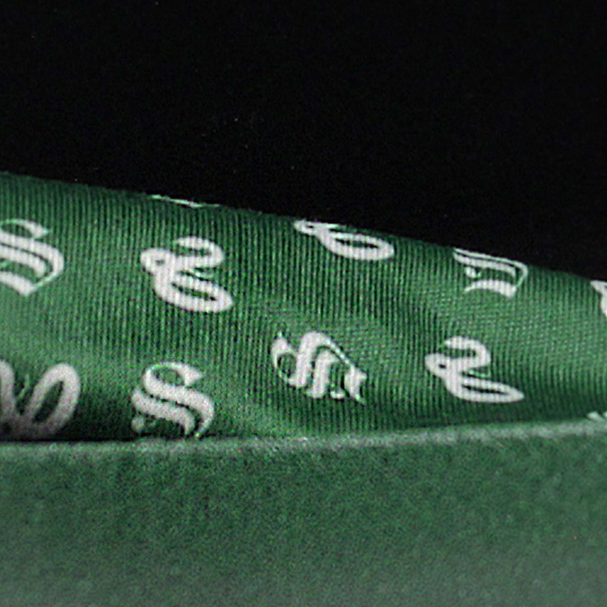 Harry Potter Slytherin Hard Glasses Case