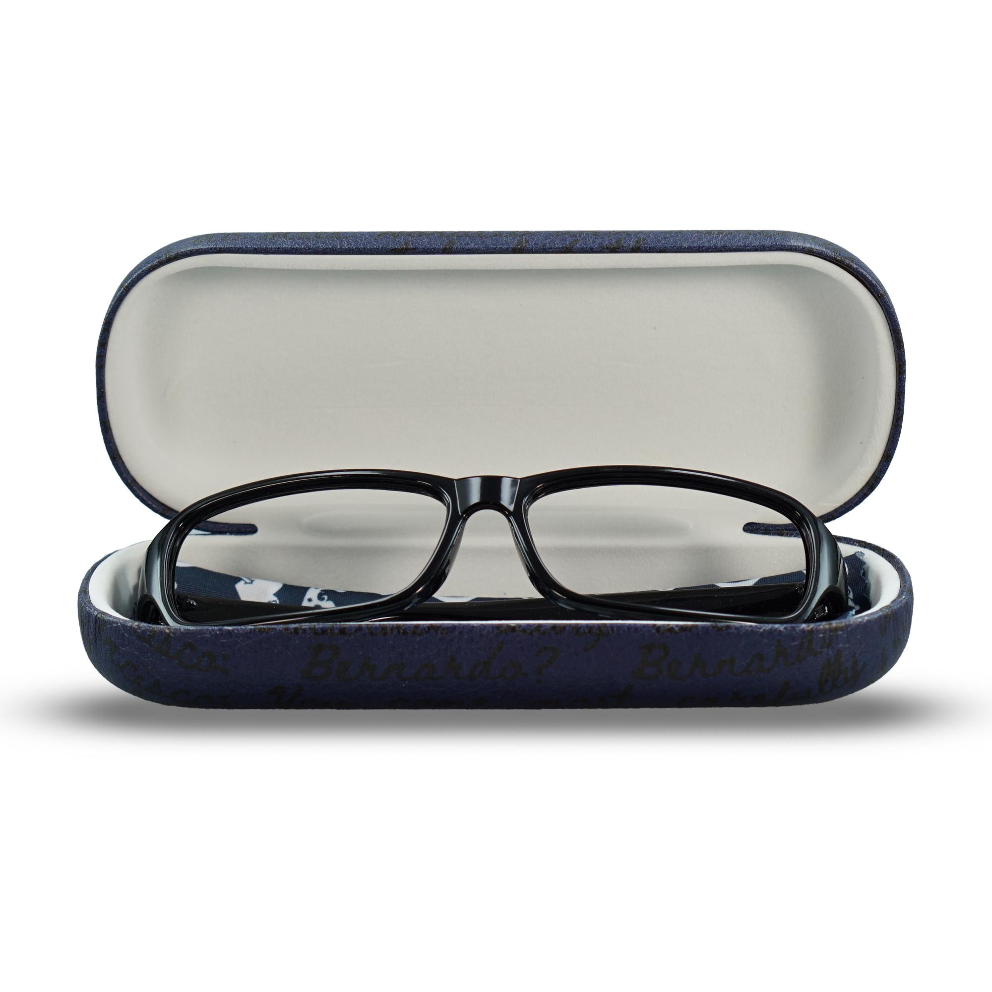 Glasses Case (Hard) - Shakespeare (Hamlet)