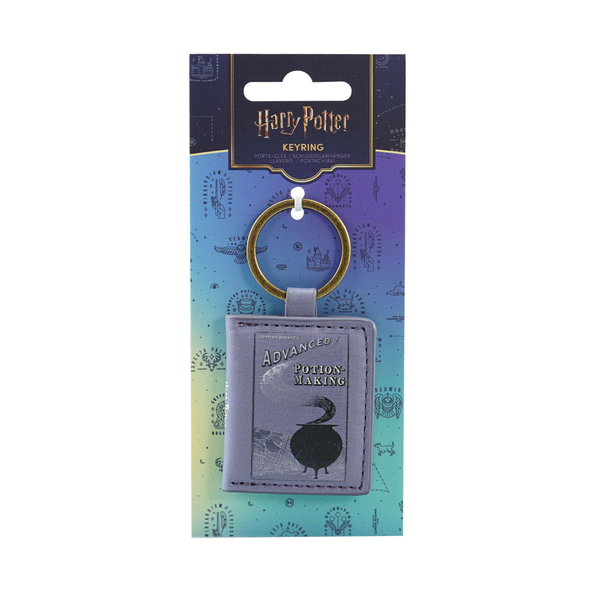 Harry Potter Potion Making Keyring