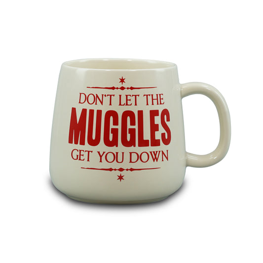 Harry Potter 'Don't Let The Muggles' 370ml Oval Mug