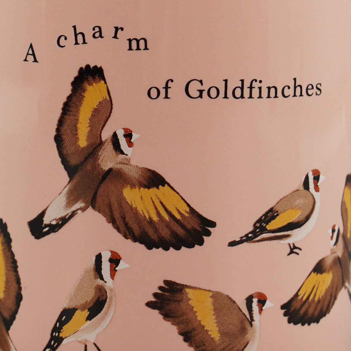 RSPB Charm of Goldfinches Ceramic Mug - 310ml