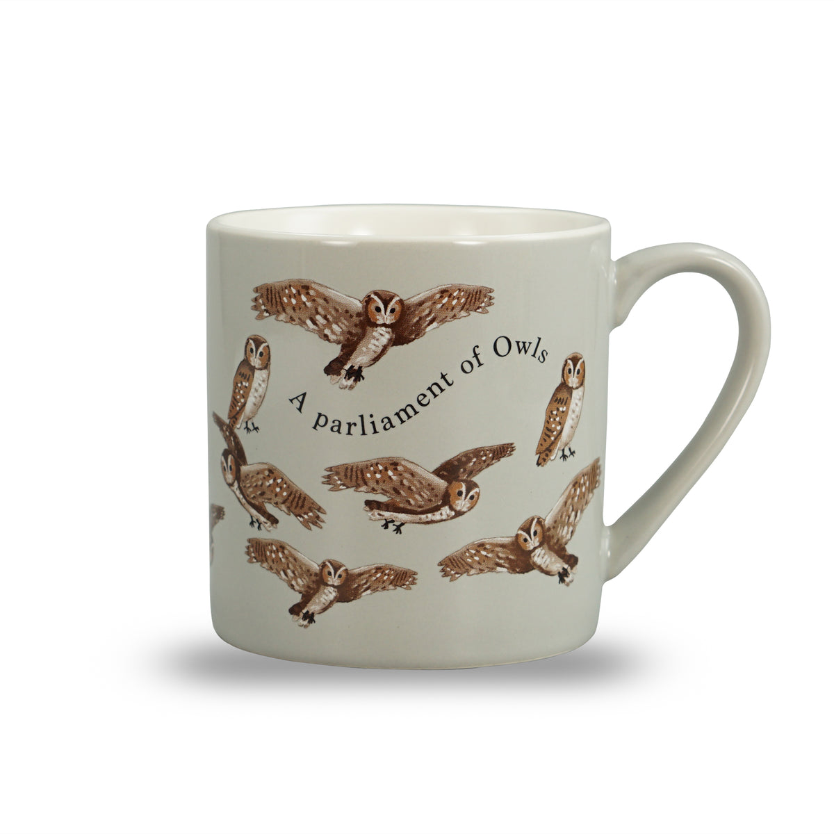 RSPB Parliament of Owls Ceramic Mug - 310ml