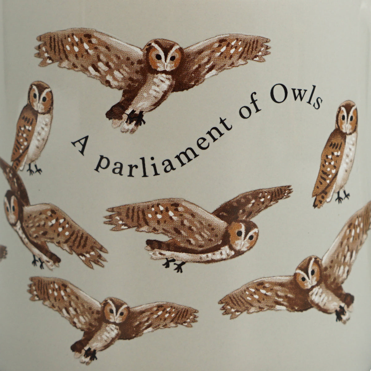 RSPB Parliament of Owls Ceramic Mug - 310ml