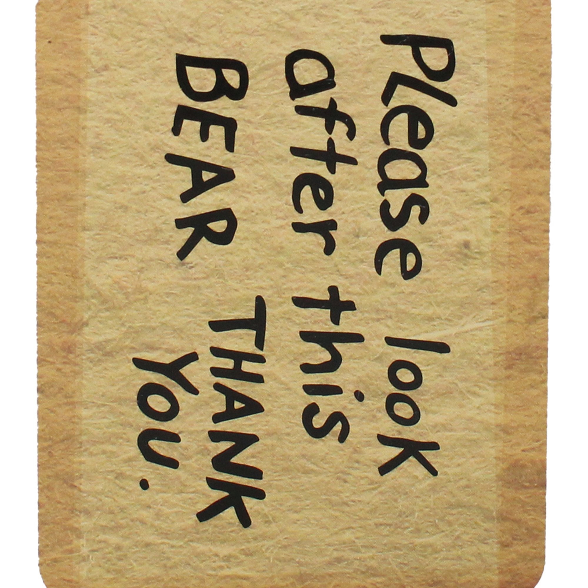 Pocket Notebook Shaped - Paddington (Tag)