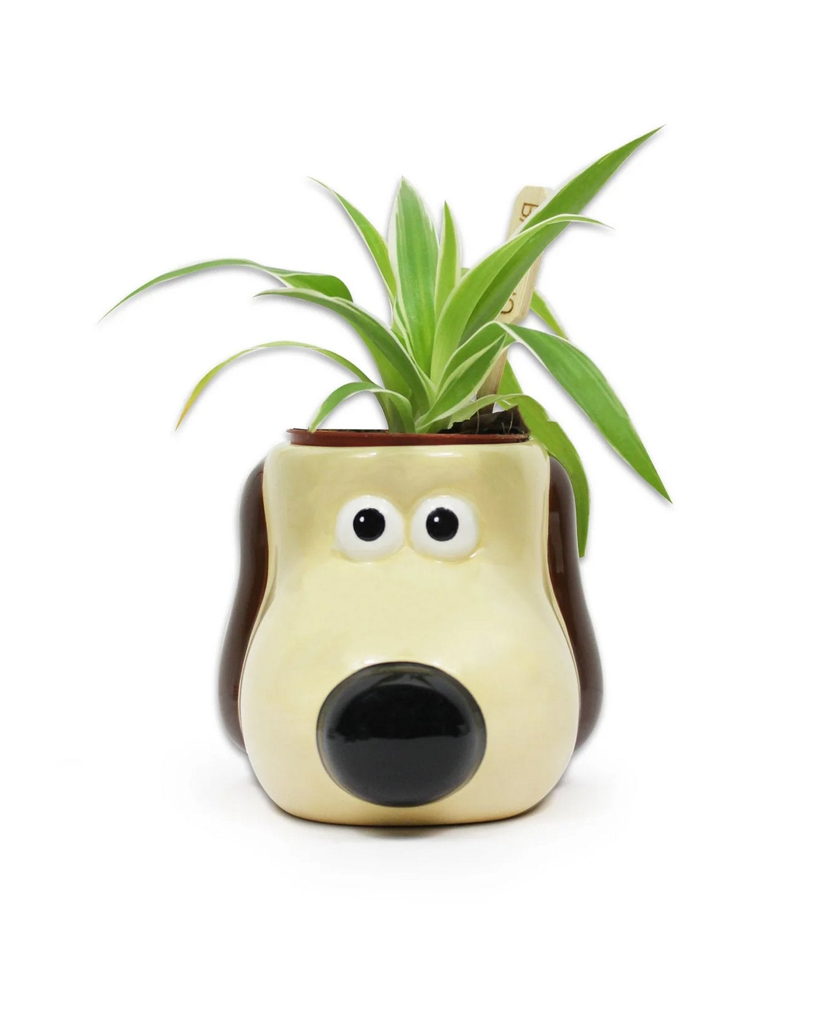 Ceramic Pot Shaped - Wallace & Gromit (Gromit)