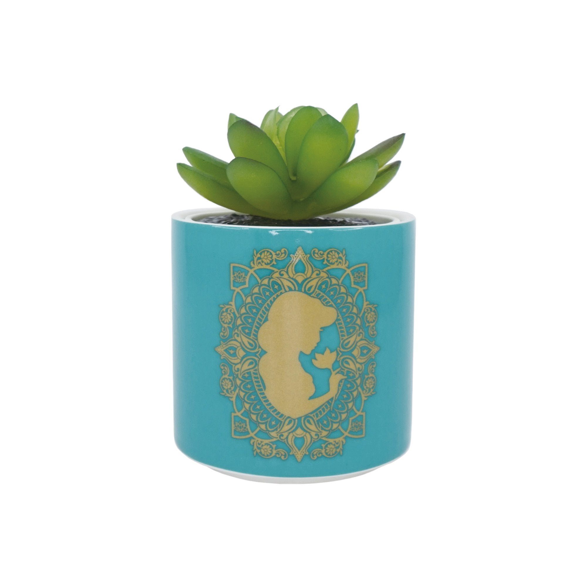 Plant Pot Faux Boxed (6.5cm) - Disney Aladdin (turquoise)