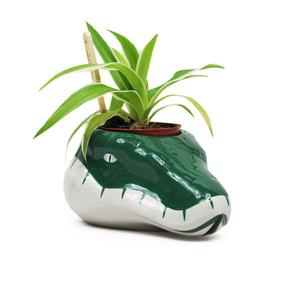 Harry Potter Slytherin Shaped Plant Pot