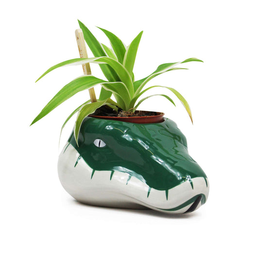 Harry Potter Slytherin Shaped Plant Pot