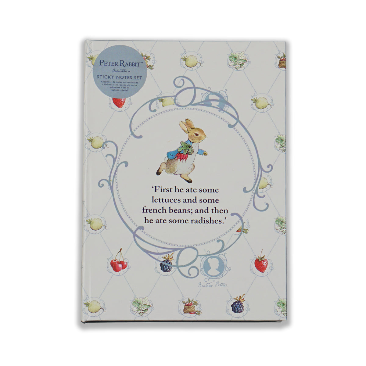 Peter Rabbit A6 Sticky Notes