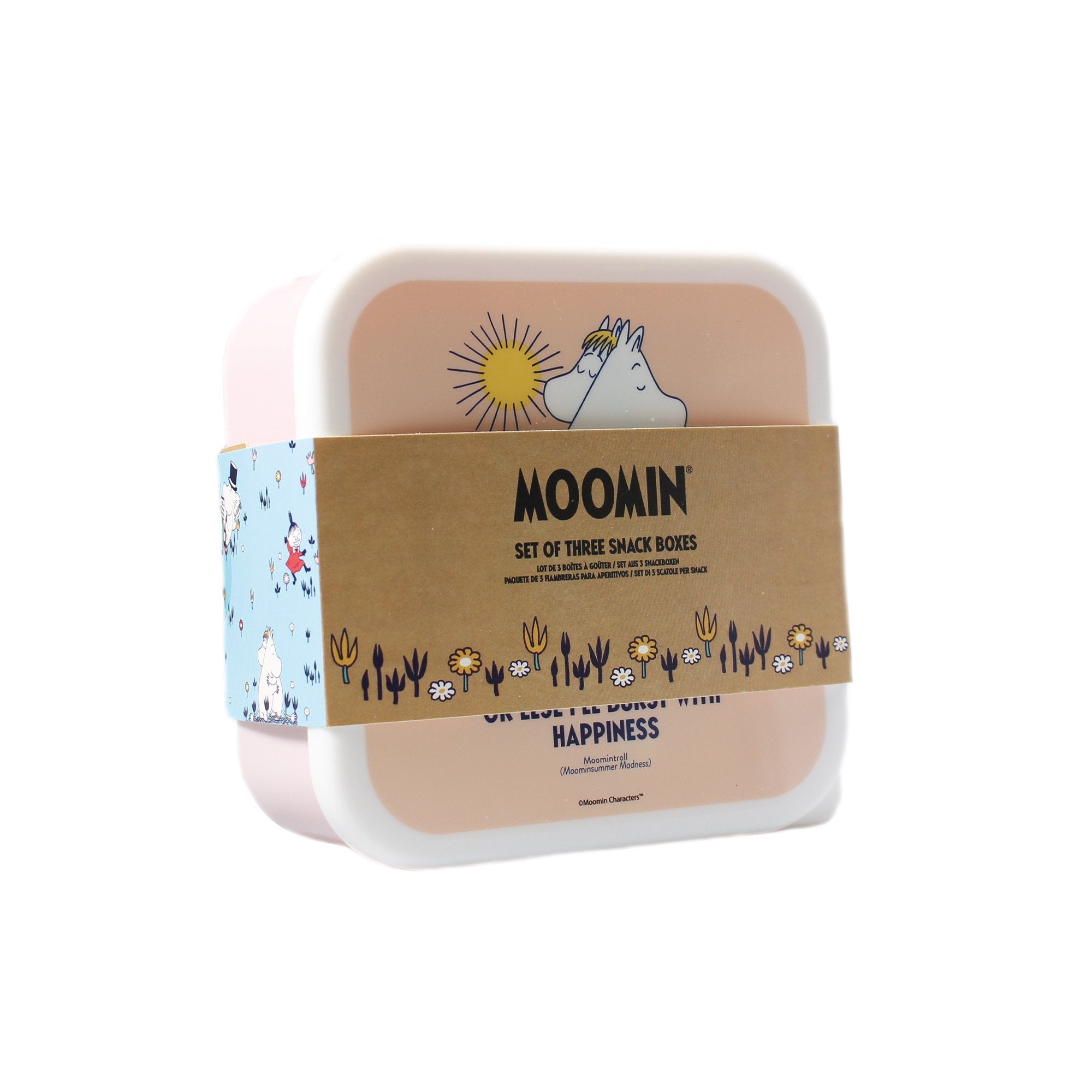 Snack Boxes Set of 3 - Moomin
