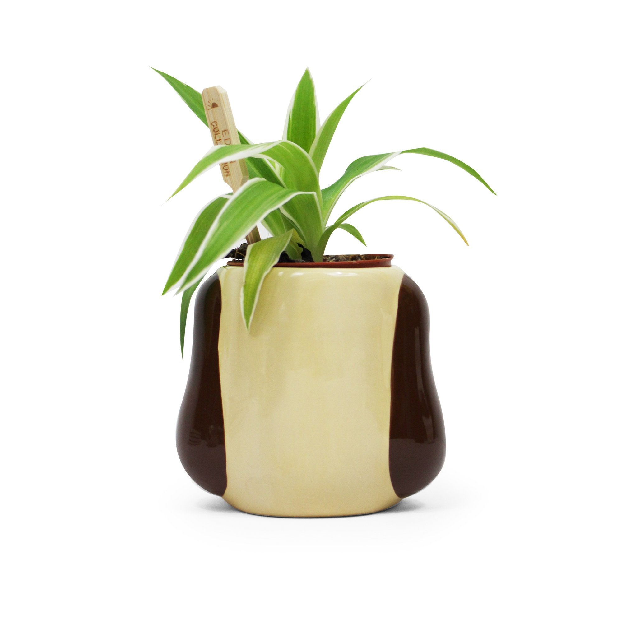 Ceramic Pot Shaped - Wallace & Gromit (Gromit)