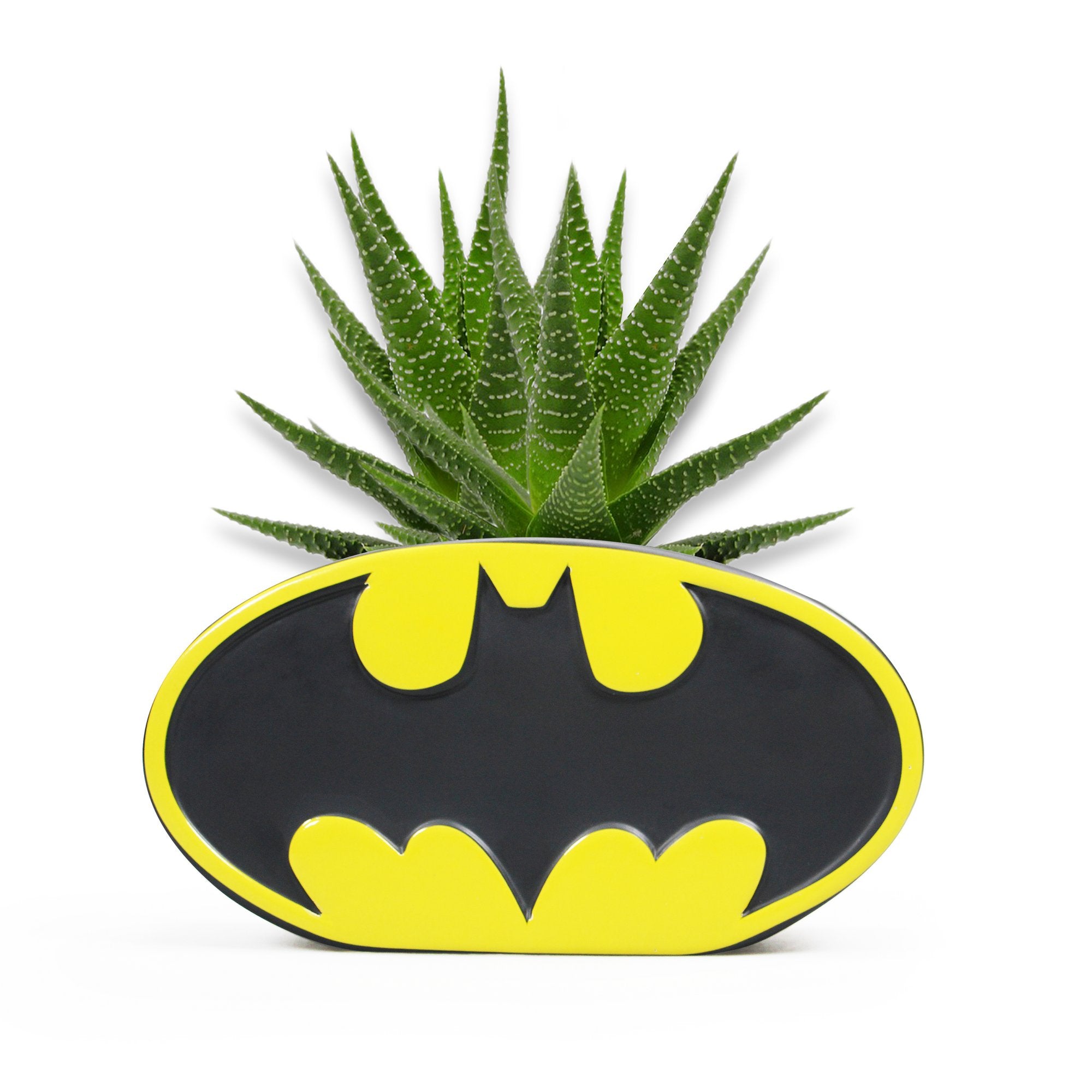 Batman Logo Planter