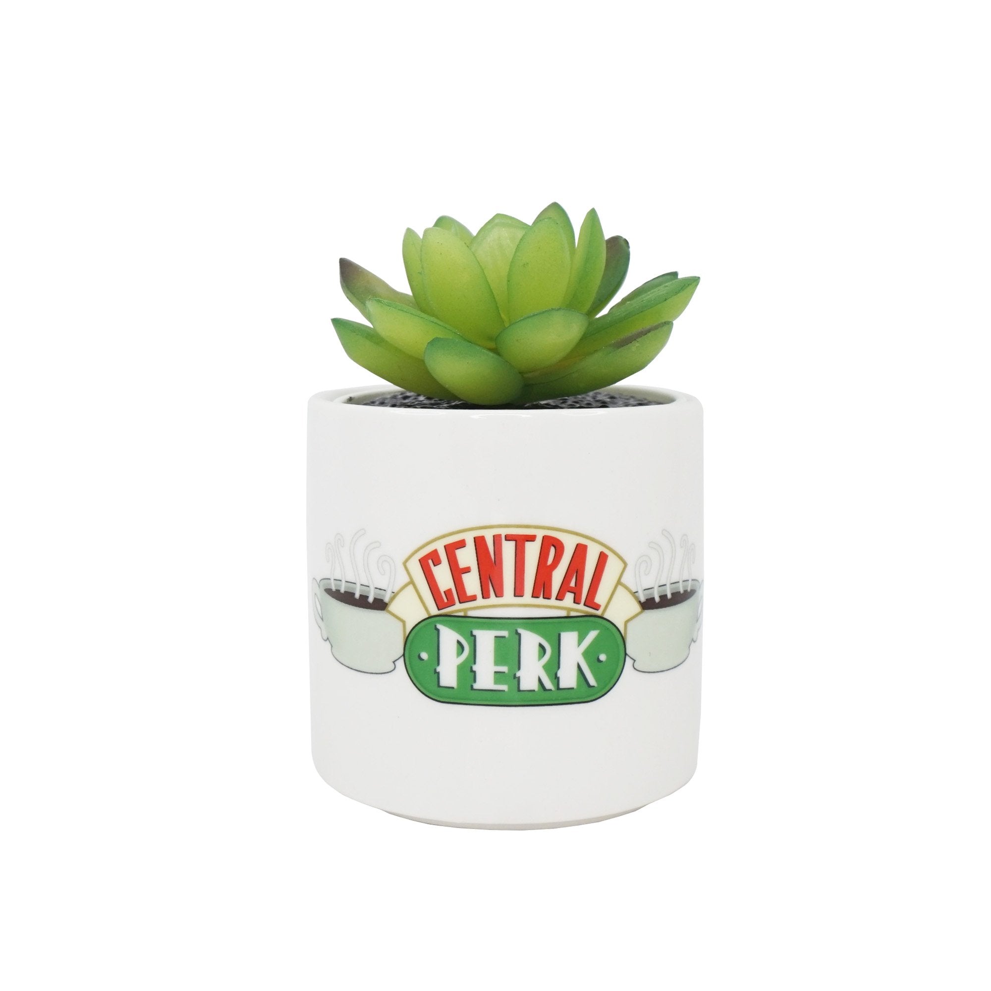 Plant Pot Faux Boxed (6.5cm) - Friends (Central Perk)