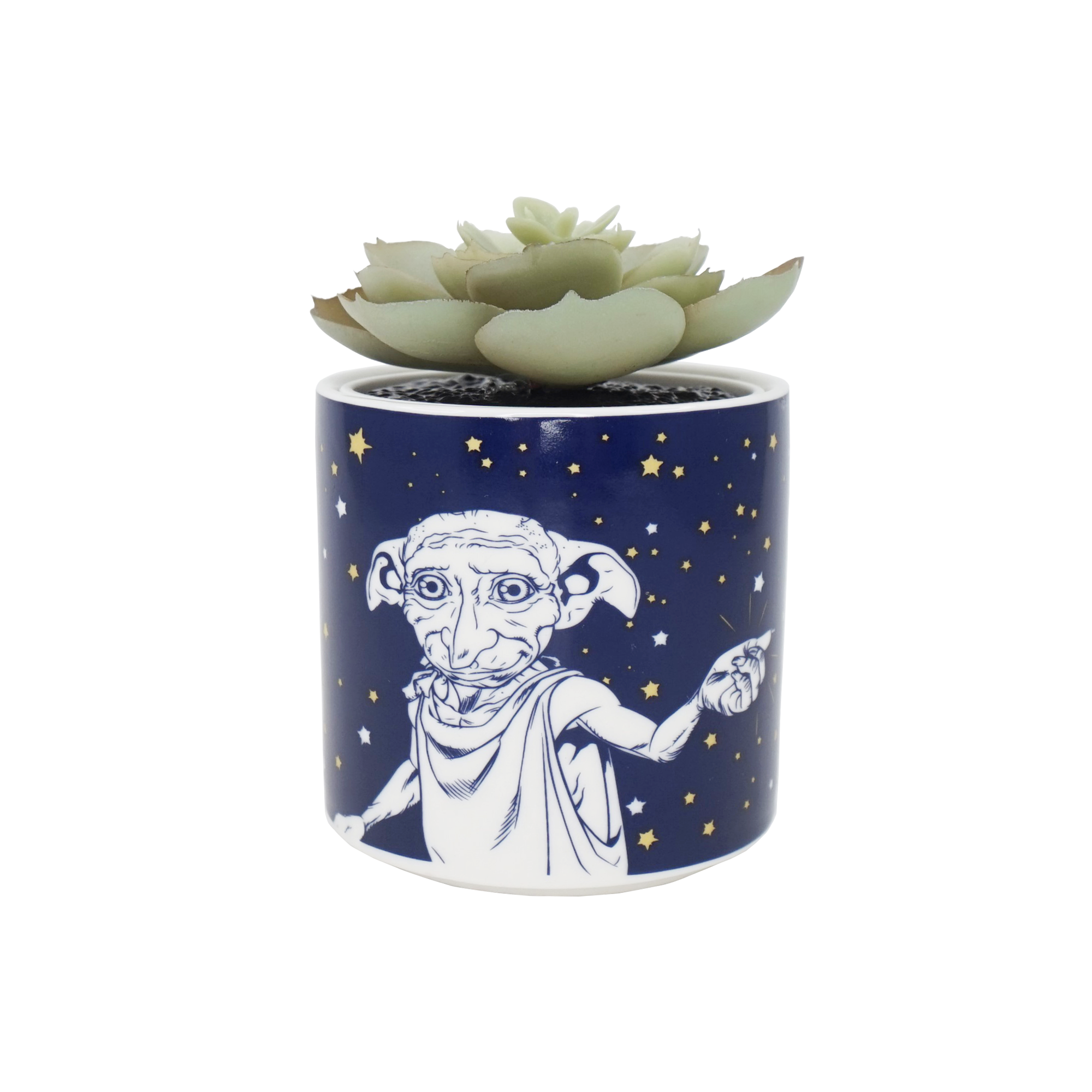 Plant Pot Faux Boxed (6.5cm) - Harry Potter (Dobby)