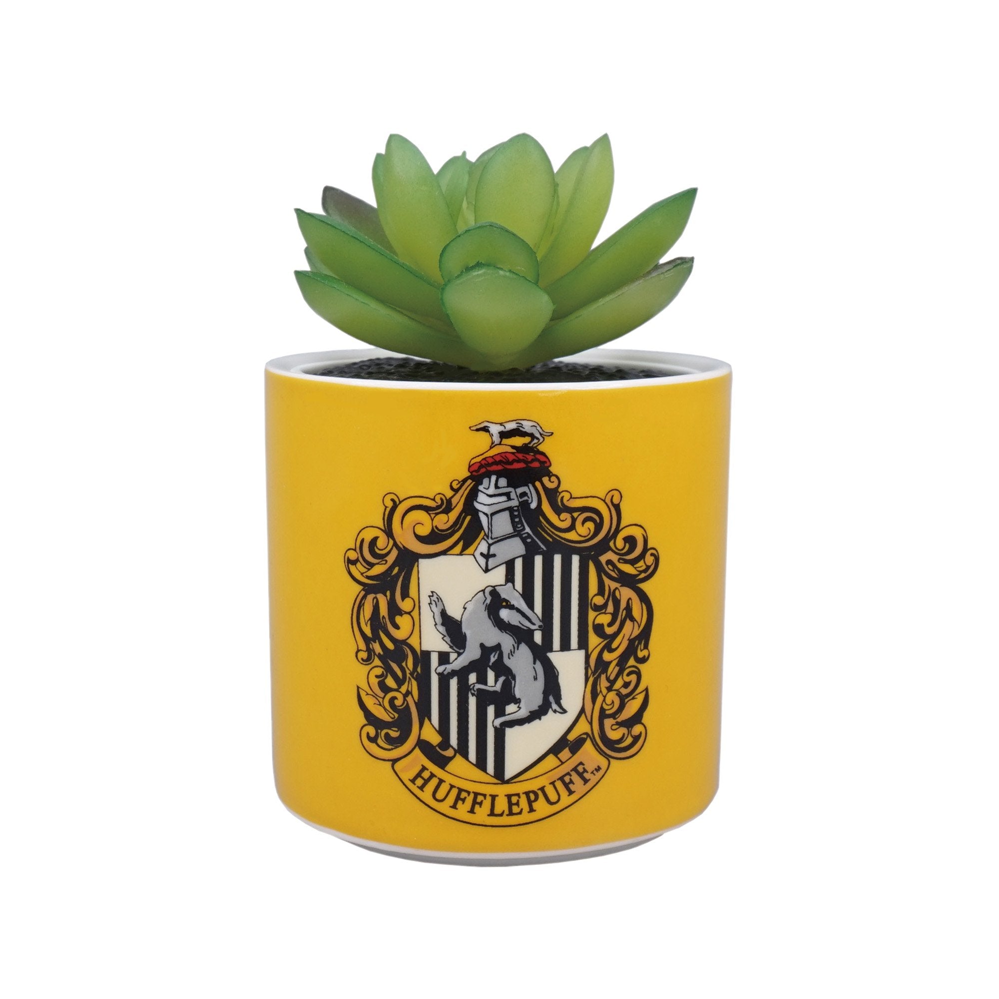 Plant Pot Faux Boxed (6.5cm) - Harry Potter (Hufflepuff)