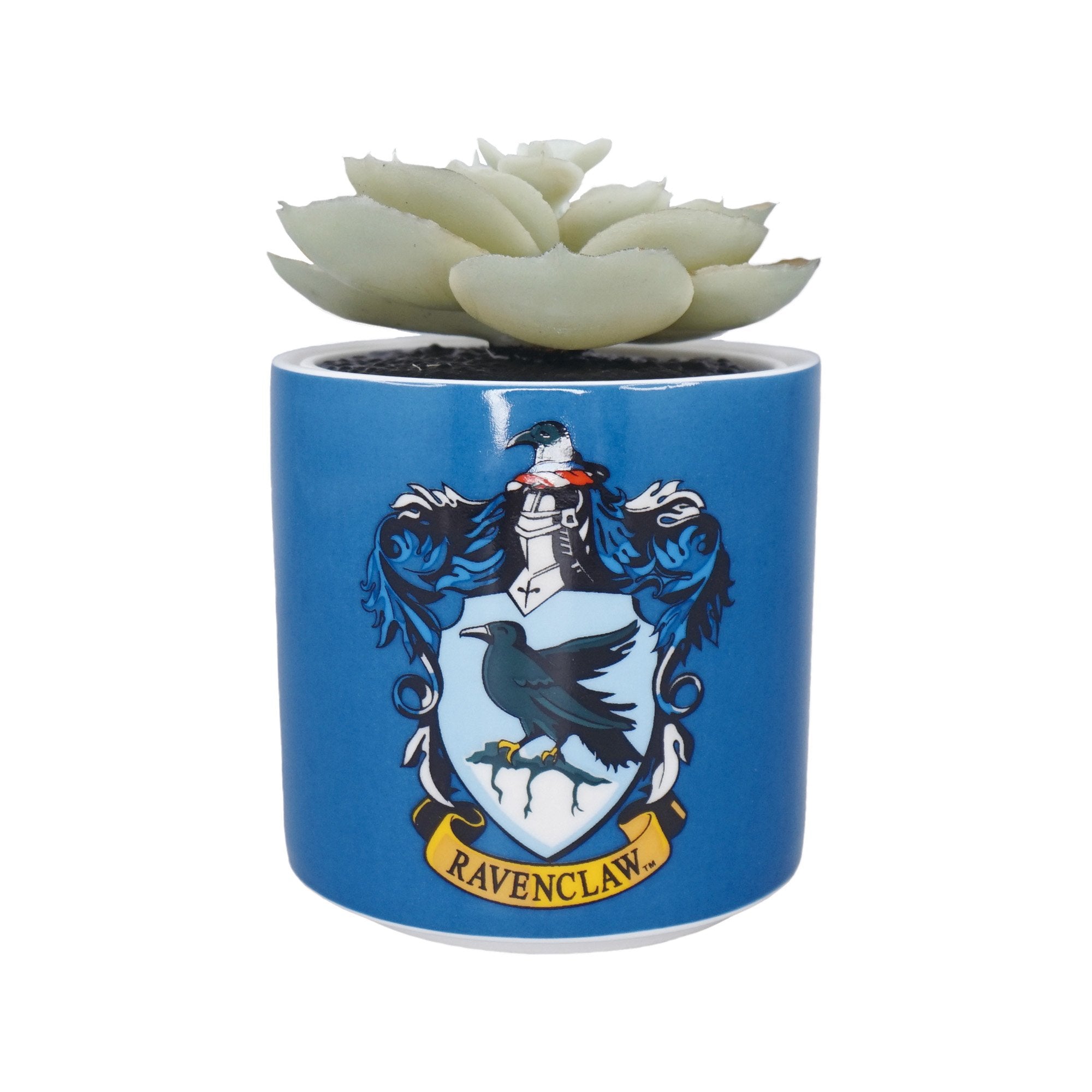 Plant Pot Faux Boxed (6.5cm) - Harry Potter (Ravenclaw)