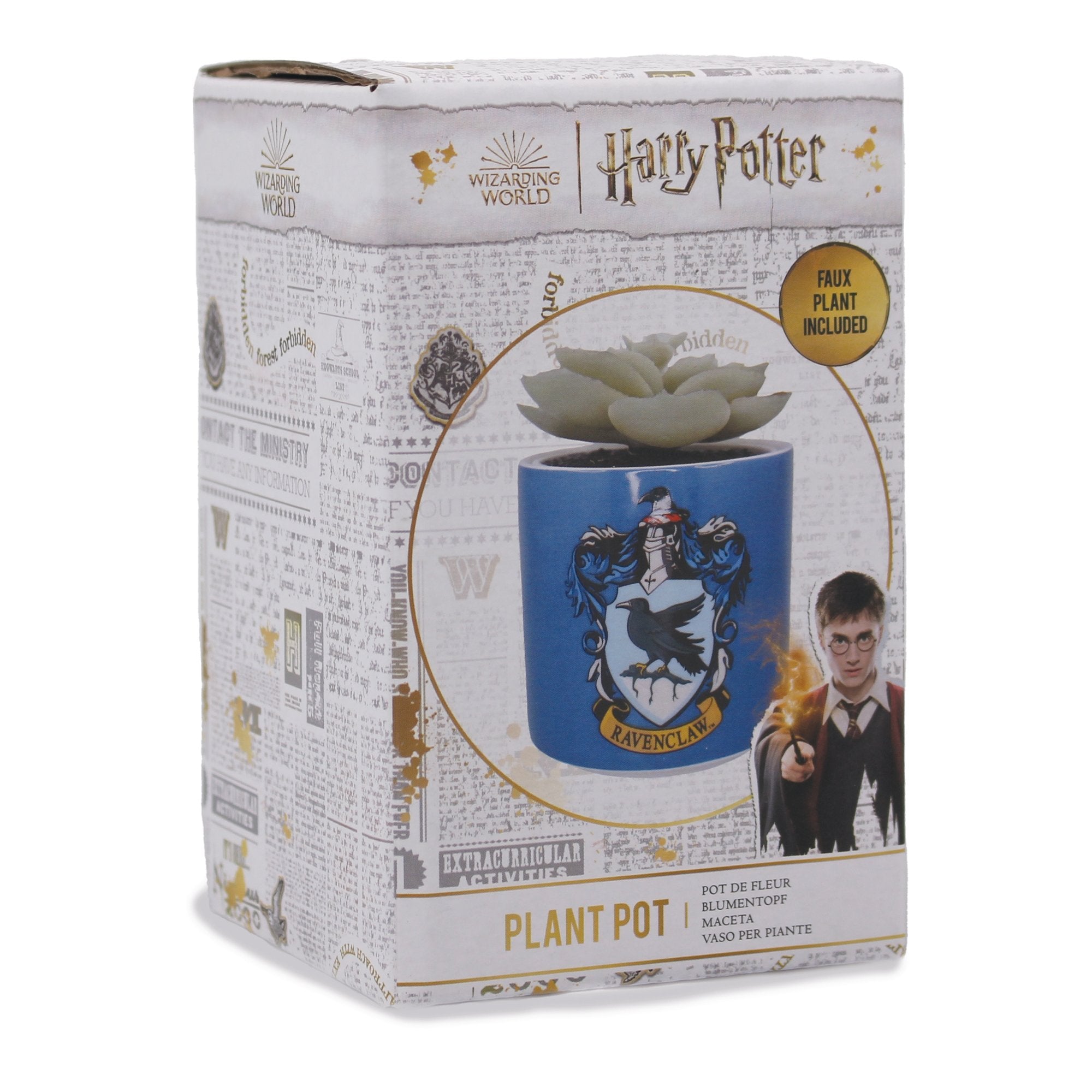 Plant Pot Faux Boxed (6.5cm) - Harry Potter (Ravenclaw)