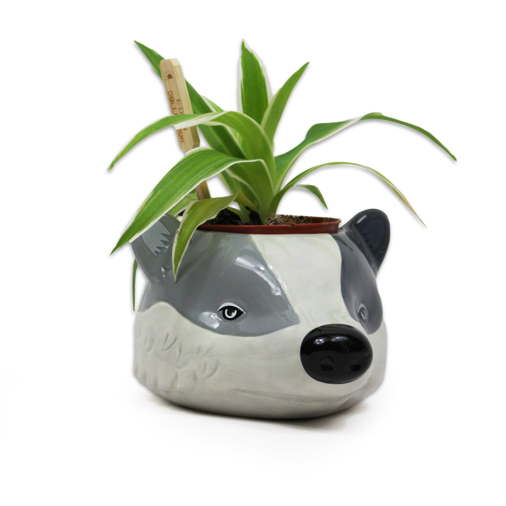 Hufflepuff Plant Pot  - Harry Potter