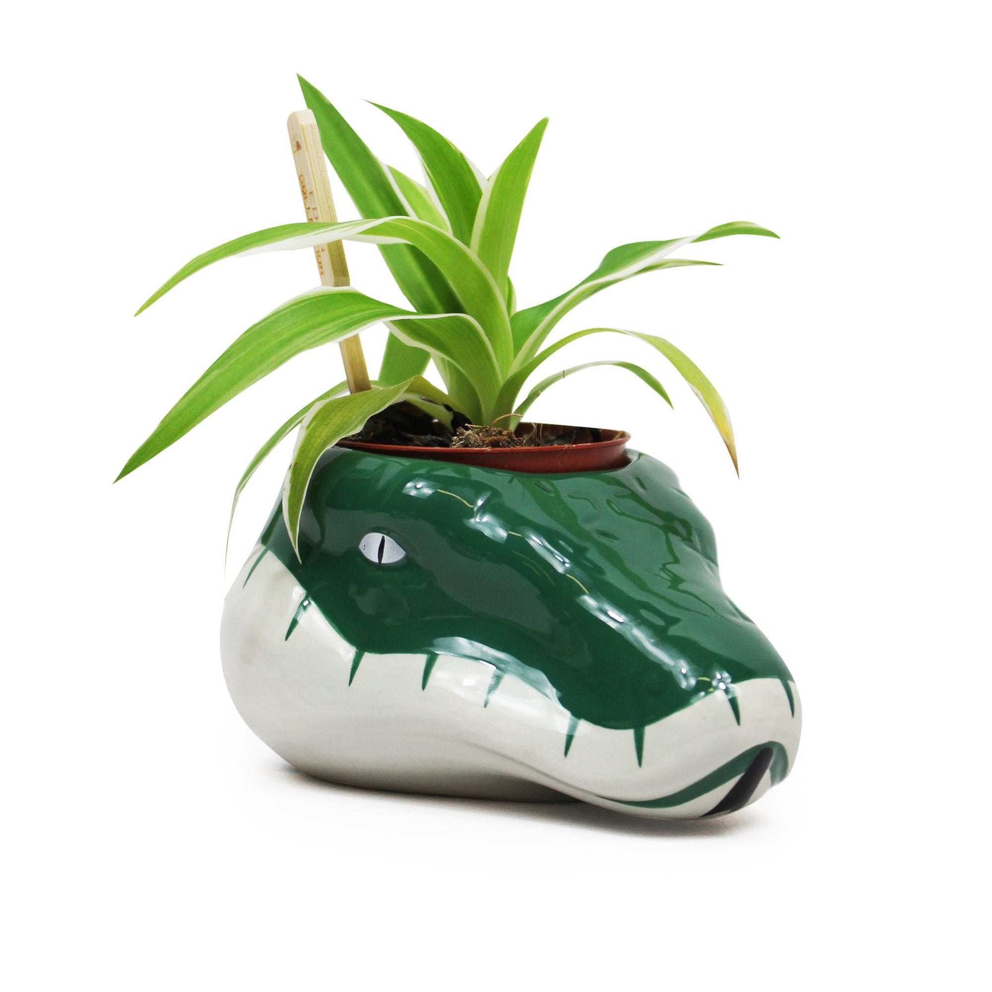 Slytherin Plant Pot - Harry Potter