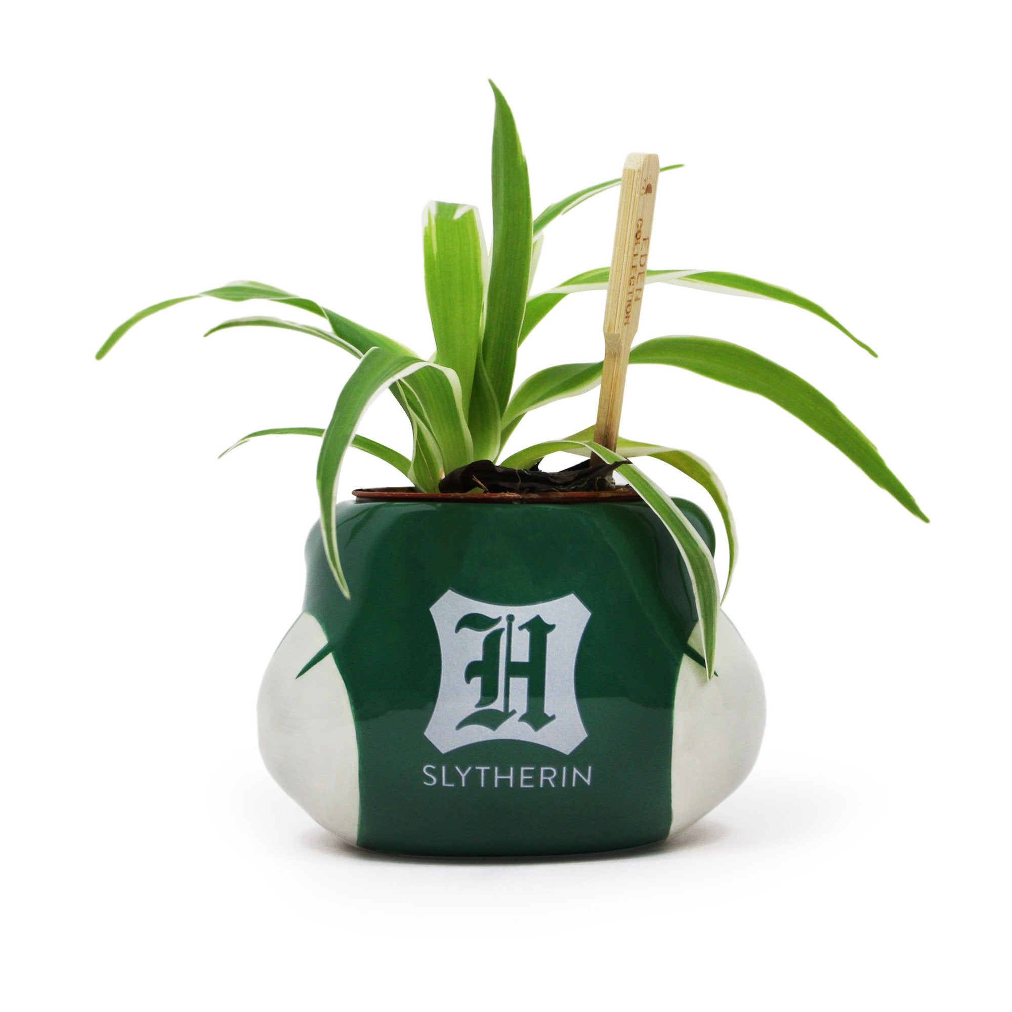 Ceramic Pot Shaped - Harry Potter (Slytherin)