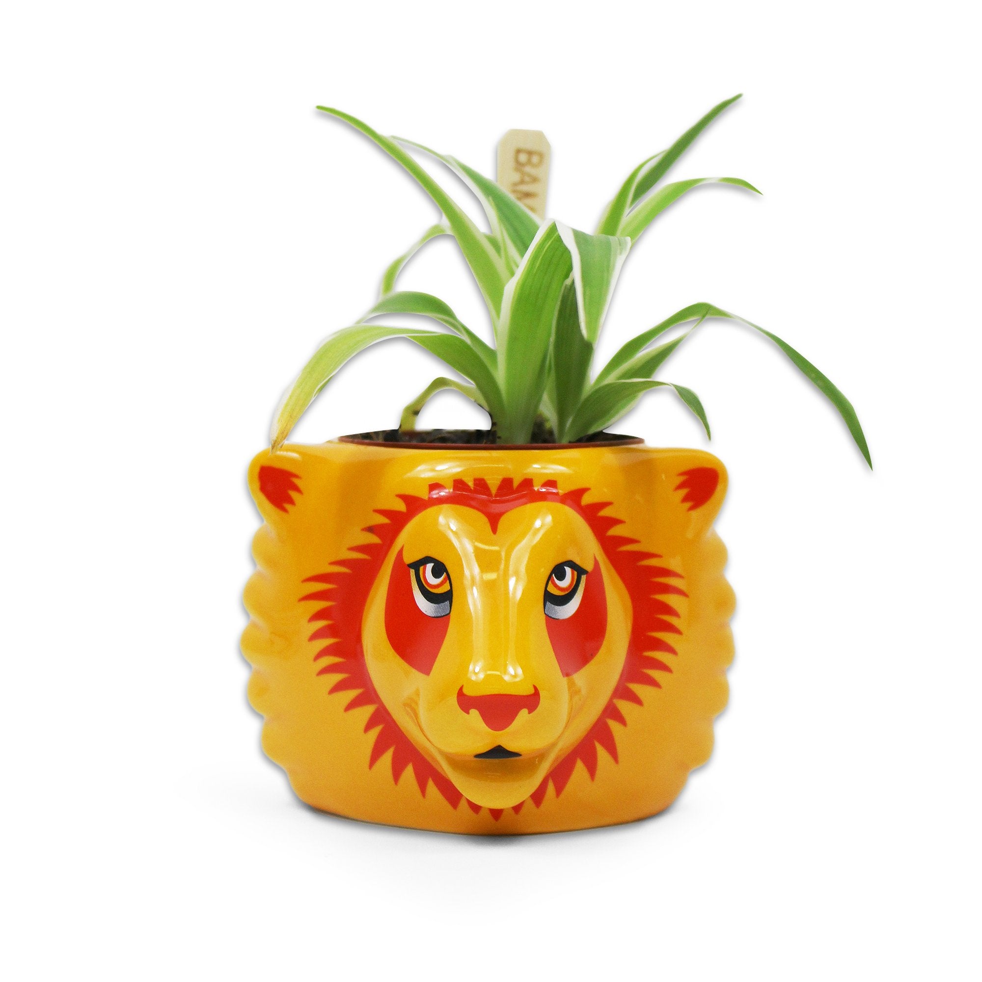 Gryffindor Plant Pot - Harry Potter