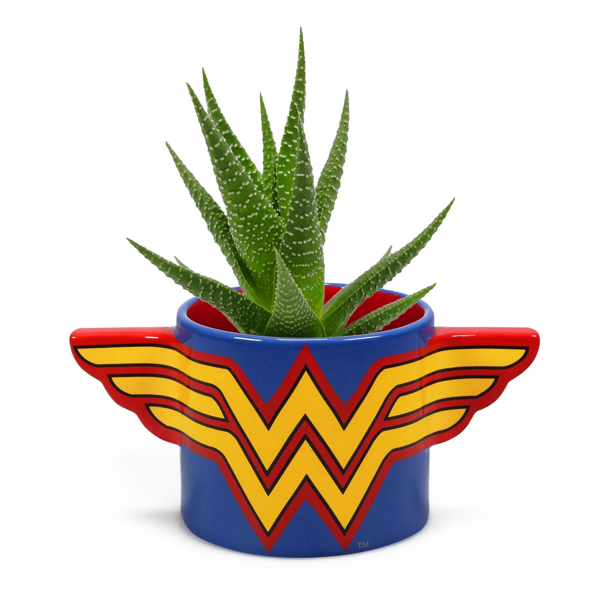 Wonder Woman Plant Pot 470ml